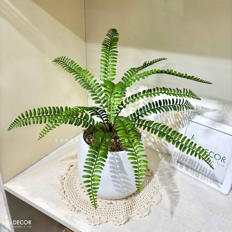 Cây Giả Để Bàn - Chậu Cây Dương Xỉ Gỉa Decor Kệ Tủ Xanh (45cm) - CC1481
