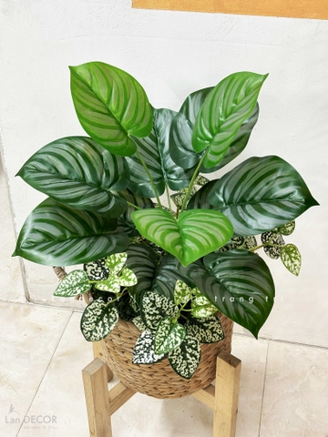 Giỏ Cây Giả - Giỏ Cây Lá Táo Decor Tiểu Cảnh Xanh (60cm)- CC1352