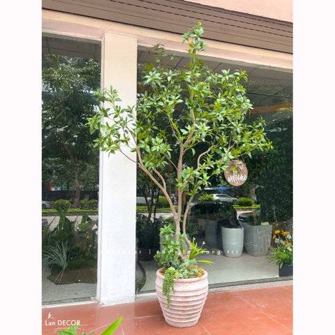 Cây Size Lớn Thiết Kế- Cây Linh Sơn Giả Decor Tiểu Cảnh, Thiết Kế Theo Yêu Cầu (220cm)- CC1378