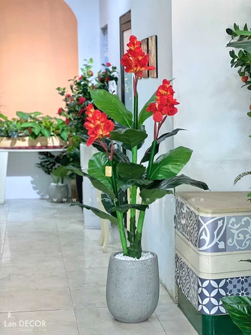 Cây tài lộc hoa trang trí nội thất đẹp 150cm - LC2083