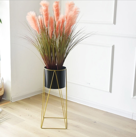 CHẬU LAU HỒNG TRANG TRÍ PHONG CÁCH HIỆN ĐẠI LAN DECOR - CC166
