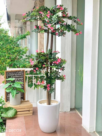 Cây hoa Đỗ Quyên cây cảnh trang trí 165 cm - LC2450