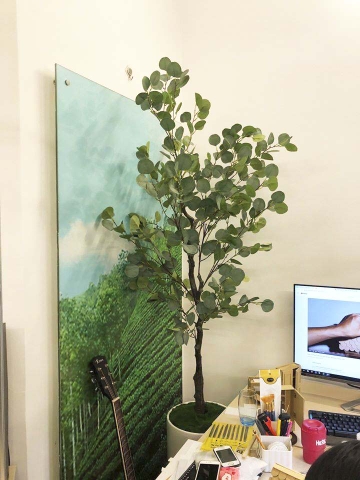 Cây bạch đàn trang trí nhà, quán cafe đẹp LanDecor (165cm) - LC3051