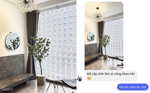 Cây bạch đàn trang trí nhà, quán cafe đẹp LanDecor (165cm) - LC3051