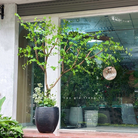 Cây Giả- Cây Thạch Nam Tiểu Cảnh Thiết Kế Không Gian (220cm)- CC1356