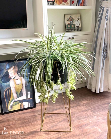 Kệ cây tóc tiên rủ trang trí LanDecor (90cm) - CC462