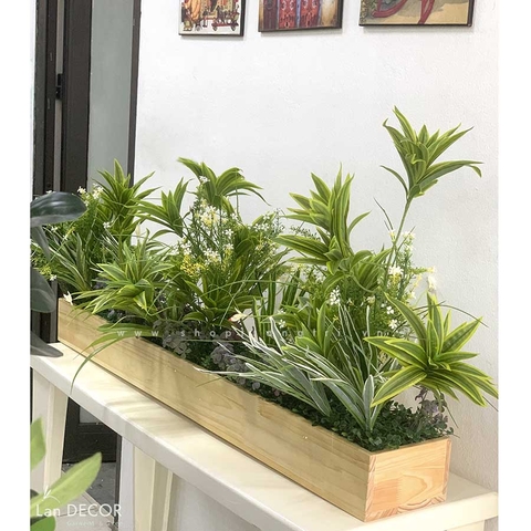 Bồn cây Thủy Trúc trang trí tiểu cảnh LanDecor (120x18cm)- BC072