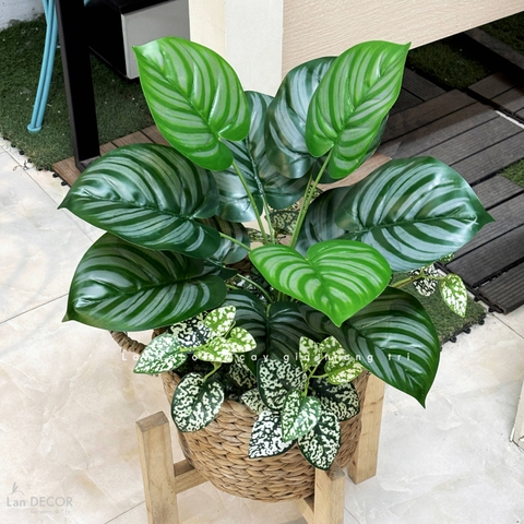 Giỏ Cây Giả - Giỏ Cây Lá Táo Decor Tiểu Cảnh Xanh (60cm)- CC1352