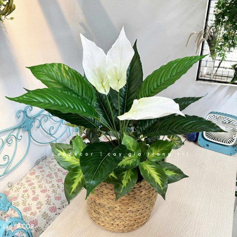 Giỏ Hoa Decor - Giỏ Hoa Lan Ý Trắng Trang Trí Nội Thất Hiện Đại (65CM)- CC1349