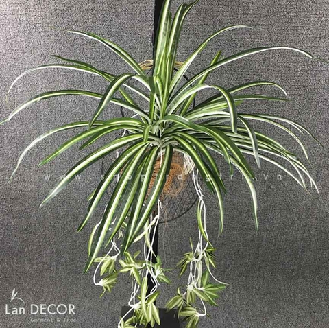 Bụi cây tóc tiên trang trí LanDecor - HC390