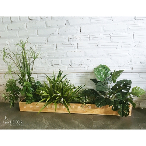 Hộp gỗ trang trí, làm bồn cây tiểu cảnh - HGO01