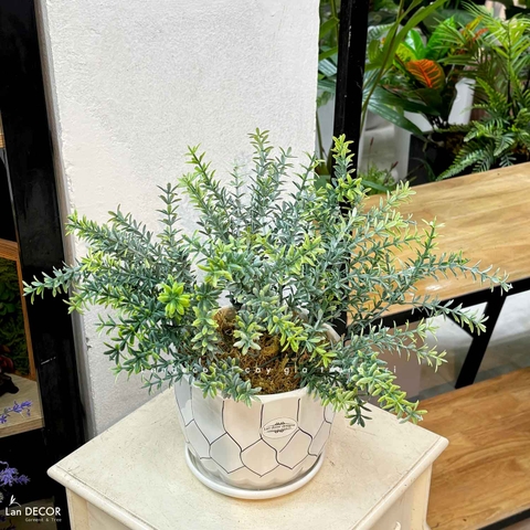 Cây Giả Để Bàn - Cây Lá Rong Giả Để Bàn Trang Trí (40cm) - CC1459