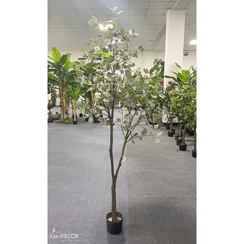 CÂY BẠCH ĐÀN MIX TIỂU CẢNH TRANG TRÍ KHÔNG GIAN XANH LAN DECOR (210CM) - LC3033 mix