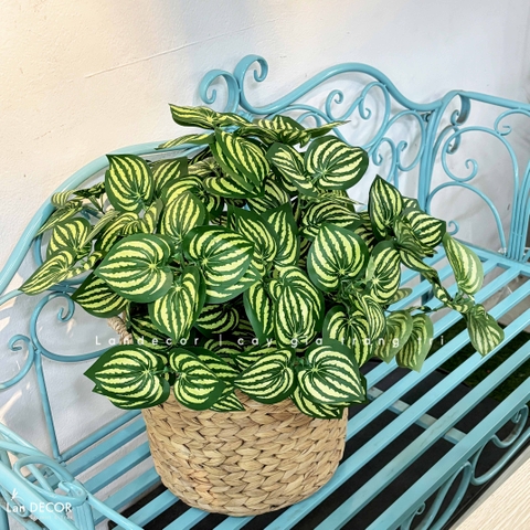 Giỏ Cây Giả - Giỏ Cây Lá Sọc Dưa Thiết Kế Bàn Làm Việc Xanh (50cm)- CC1348