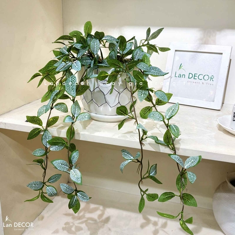 Cây Giả Decor- Chậu Cây Lá Rủ, Họa Tiết Độc Đáo Trang Trí Tự Nhiên (50cm)- CC1483