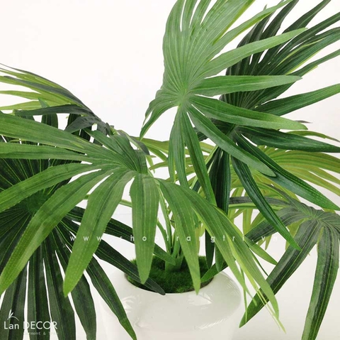 Cành lá giả- Cành cọ giả trang trí tiểu cảnh LanDecor (40cm) - HC414