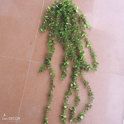 Cành lá giả - Cụm lá Tai Chuột rủ trang trí LanDecor (100cm) - HC1099