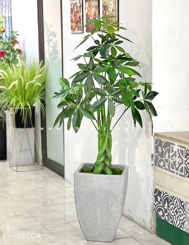 Cây Kim Ngân cây trang trí nhà sang trọng LanDecor (120cm) - LC2348