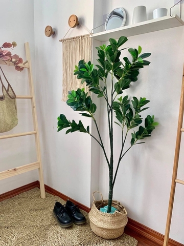 Cây lá tiền trang trí không gian hiện đại xanh mát Lan Decor (135cm) - LC5581