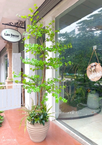 Cây Giả- Cây Thạch Nam Giả Thiết Kế Dáng Phân Tầng Độc Đáo, Decor Không Gian Hiện Đại (230cm)- CC1361