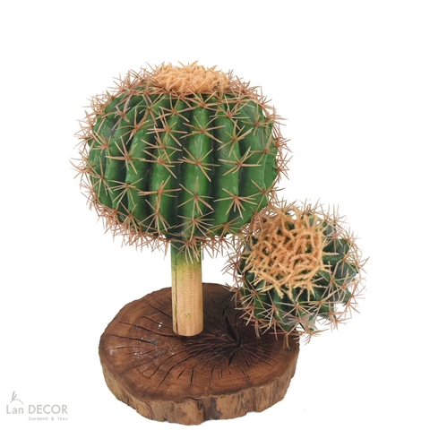 Xương Rồng Giả- Xương Rồng Kim Hổ Giả Màu Sắc Ấn Tượng, Decor Nổi Bật - HC1426