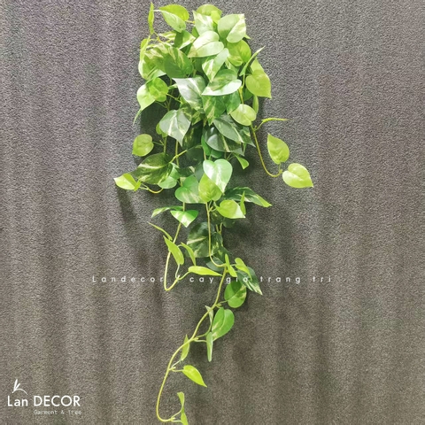 Cành Vạn Niên Rủ Giả Decor Tiểu Cảnh (90cm) - HC1392-loang