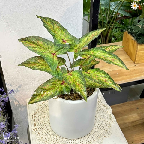 Cây Giả Decor- Chậu Cây Bán Hạ Giả Trang Trí Kệ Tủ Độc Đáo (40cm)-CC1476