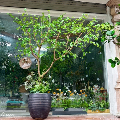 Cây Giả- Cây Thạch Nam Tiểu Cảnh Thiết Kế Không Gian (220cm)- CC1356