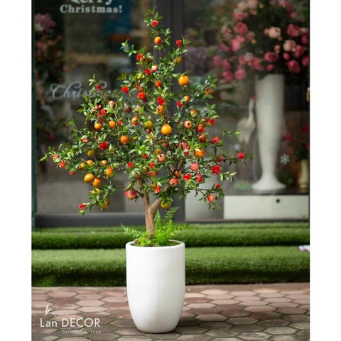 Chậu cây lựu trang trí nội thất hiện đại 140cm - CC074