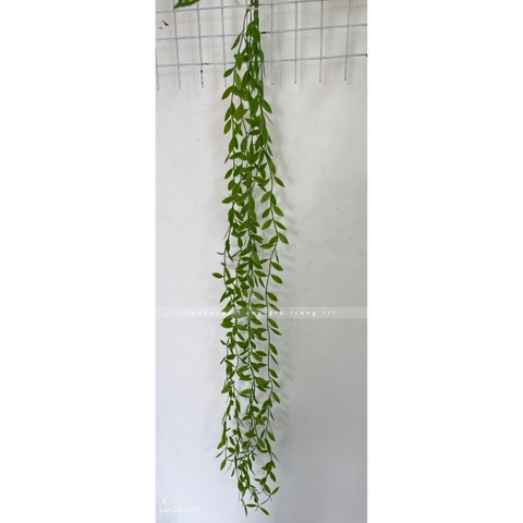 Cành Lá Giả - Cành Cúc Tần Ấn Độ Trang Trí Tiểu Cảnh Rủ (100cm)- HC1332
