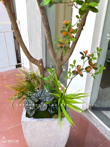 Cây Giả- Cây Lá Đỏ Giả Thiết Kế Tiểu Cảnh Độc Đáo, Trưng Bày Không Gian Mới Lạ (230cm)- CC1388
