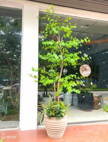 Cây Giả- Cây Thạch Nam Giả Thiết Kế Dáng Phân Tầng Độc Đáo, Decor Không Gian Hiện Đại (230cm)- CC1361