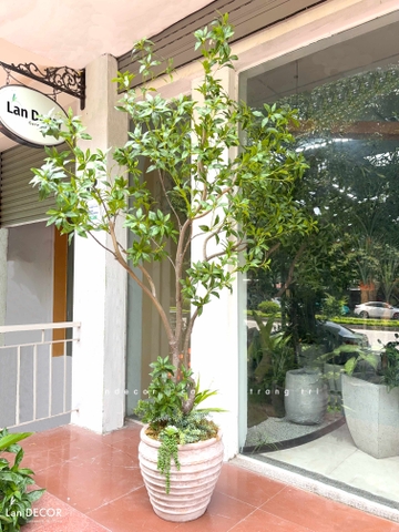 Cây Size Lớn Thiết Kế- Cây Linh Sơn Giả Decor Tiểu Cảnh, Thiết Kế Theo Yêu Cầu (220cm)- CC1378