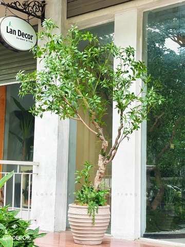 Cây Giả Thiết Kế- Cây Linh Sơn Tiểu Cảnh Thiết Kế Không Gian Đẹp (220cm)- CC1355