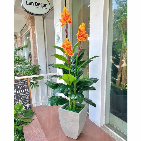 Cây tài lộc hoa trang trí nhà sang trọng 165cm - LC1782
