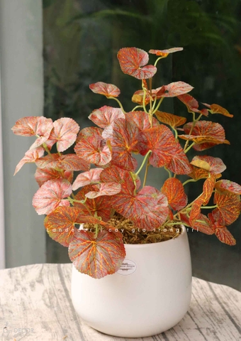 Cây Giả Decor - Cây Sen Cạn Giả Để Bàn Tạo Điểm Nhấn (40cm)- CC1490