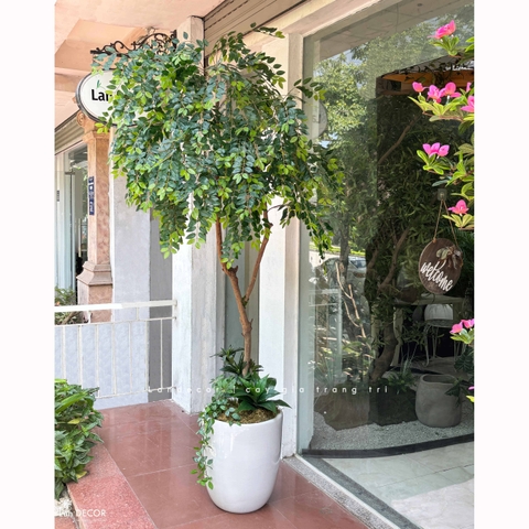 Cây Giả - Cây Bồ Công Anh Giả Decor Tiểu Cảnh Xanh (200cm)- CC1387
