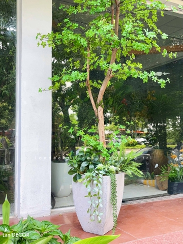 Cây Giả Thiết Kế- Cây Thạch Nam Giả Thiết Kế Nội Thất Xanh Hiện Đại (270cm)- CC1379