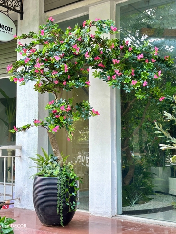 Cây Hoa Thiết Kế- Cây Đỗ Quyên Giả Dáng Huyền Thiết Kế Tiểu Cảnh Xanh (180cm)- CC1337