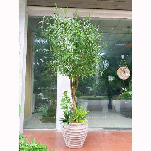 Cây Giả Decor- Cây Olive Giả Đẹp Tự Nhiên, Thiết Kế Nội Thất Hiện Đại (210cm)- CC1358