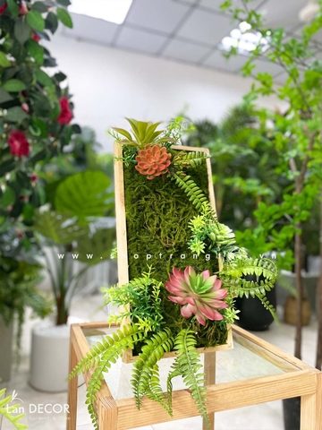 KHUNG TRANH RÊU SEN ĐÁ LAN DECOR - KTR07(20x40)