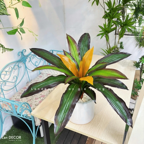 Cây Giả Trang Trí- Cây Tài Lộc Giả Để Bàn Decor Không Gian Nổi Bật (45cm)- LC3427