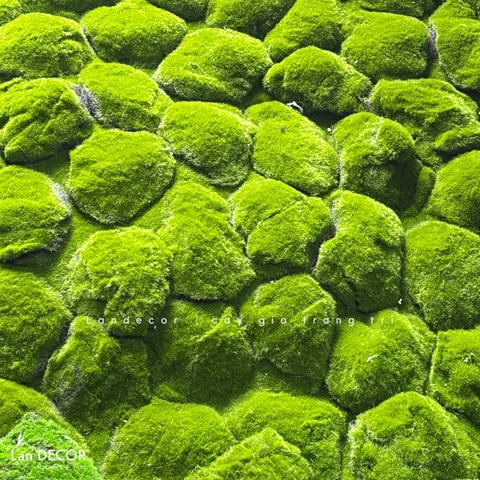 Tấm Thảm Rêu Giả Thiết Kế Tường Rêu, Decor Cửa Hiệu Xanh (100x100cm)- TR004