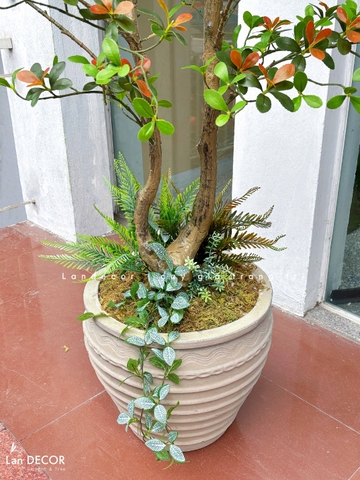 Cây Giả Thiết Kế- Cây Cành Cổ 3 Lá Độc Đáo, Thiết Kế Không Gian Hiện Đại (230cm)- CC1354