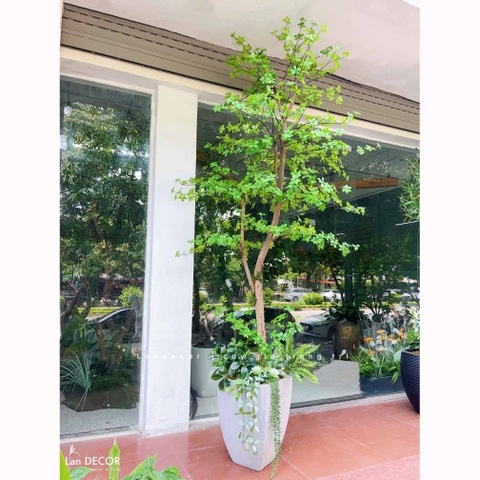 Cây Giả Thiết Kế- Cây Thạch Nam Giả Thiết Kế Nội Thất Xanh Hiện Đại (270cm)- CC1379