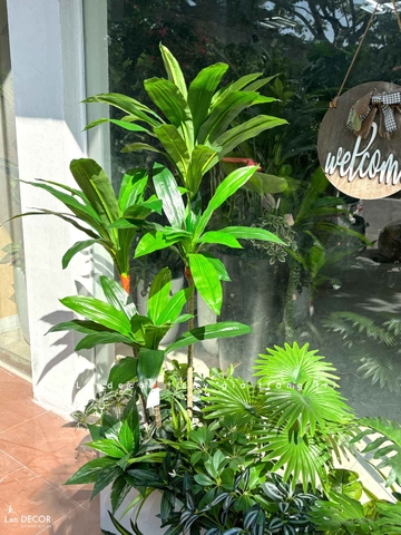 Bồn Cây Giả Tiểu Cảnh- Thiết Kế Tiểu Cảnh Giả Decor Không Gian Xanh Hiện Đại (130x60x140cm)- BC302