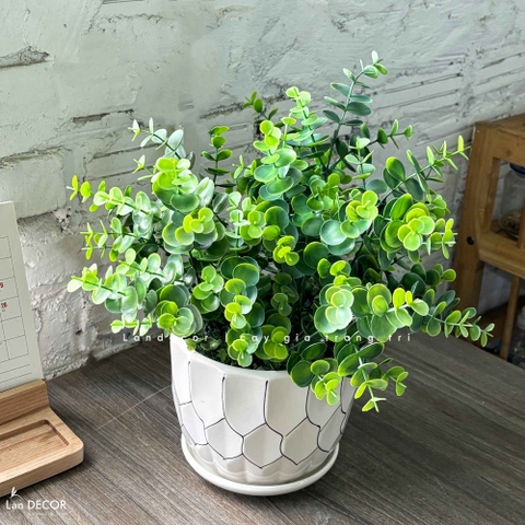 Cây Giả Decor- Cây Lá Táo Giả Trang Trí Tiểu Cảnh Xanh (45cm)- CC1461