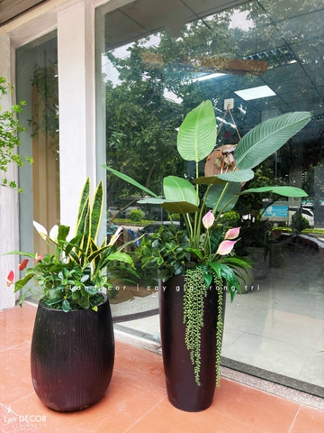 Cây Giả Decor- Chậu Cây Lưỡi Hổ Giả Tô Điểm Không Gian Xanh (120cm)- CC1341