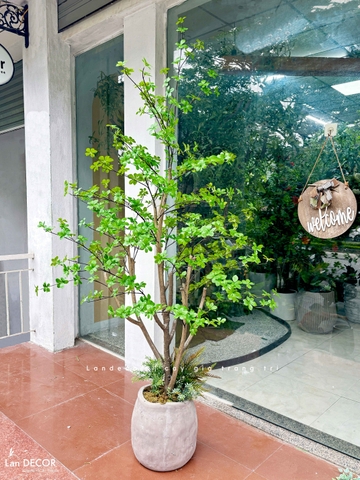 Cây Cảnh Giả- Cây Thạch Nam Giả Trang Trí Tiểu Cảnh  (190cm)- CC1369