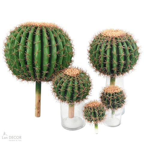 Xương Rồng Giả- Xương Rồng Kim Hổ Giả Màu Sắc Ấn Tượng, Decor Nổi Bật - HC1426